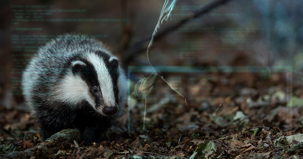 Bitcoin DeFi tool BadgerDAO hit by estimated $120 million hack