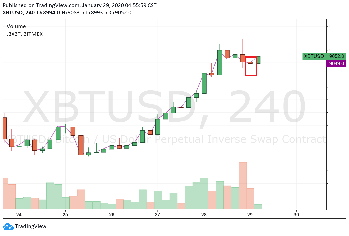 bitcoin hammer