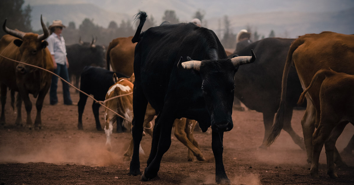 Investor: If bitcoin breaks $6,200, it may mark the start of a major bull run