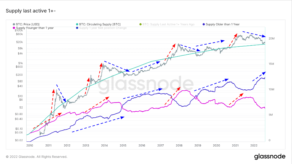 btc long term holders short term holders