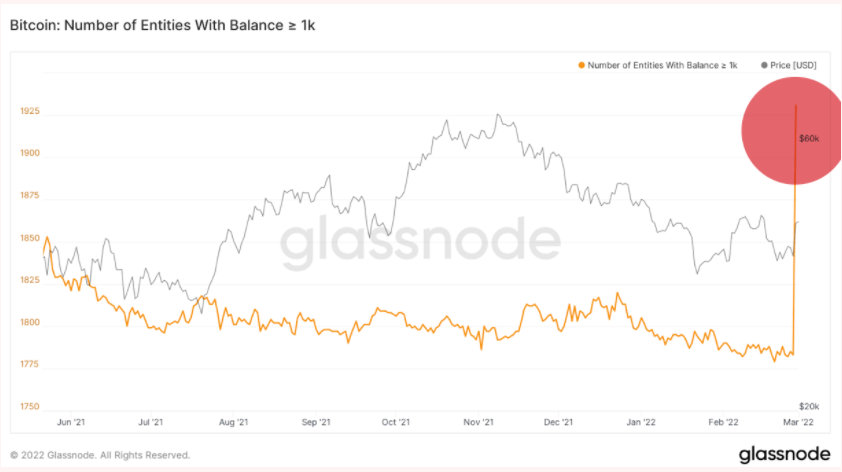 Glassnode data on addresses holding more than 1000 bitcoin