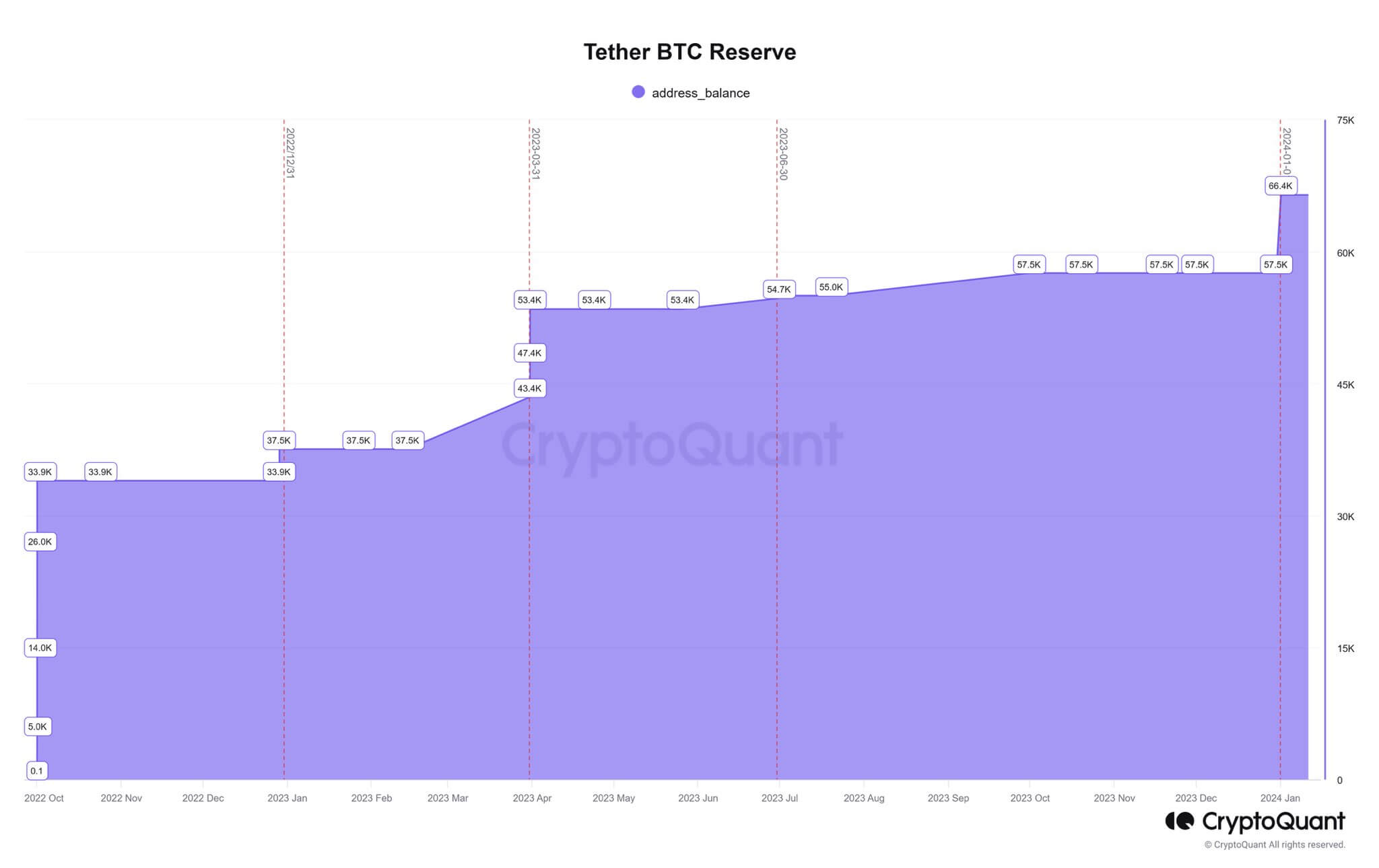 Tether Bitcoin Holding